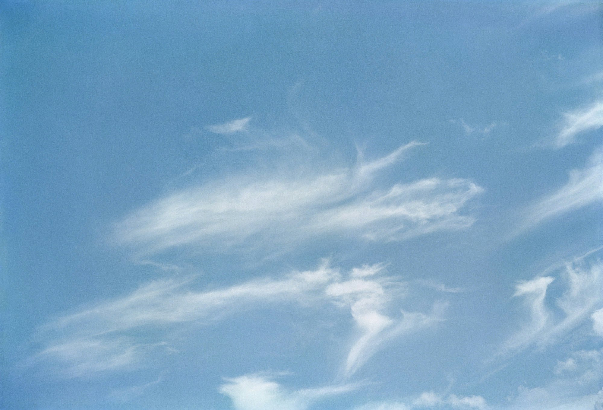 William Eggleston, Head in the Clouds