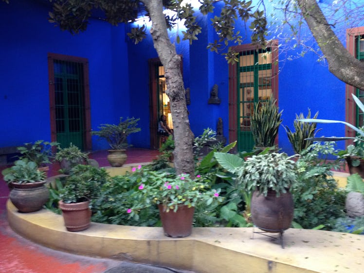 frida-kahlo-museum