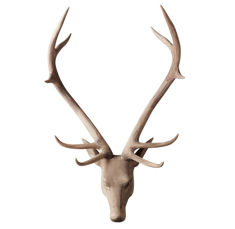 RH, Restoration Hardware stag head, $795, rh.com.