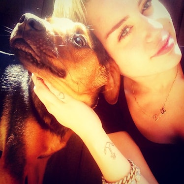 __#DogsofInstagram:__ When Miley Cyrus signed on in May 2013, she did what every self-respecting pup...