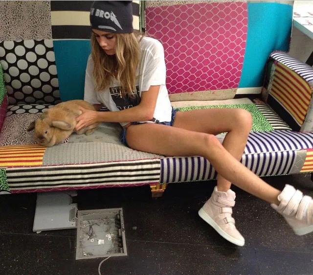 Cara’s New Companion