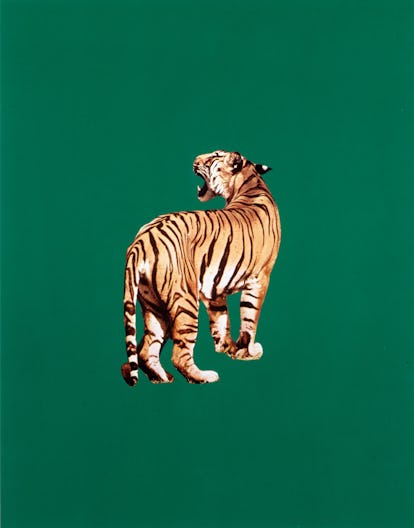 Sarah Charlesworth Tiger