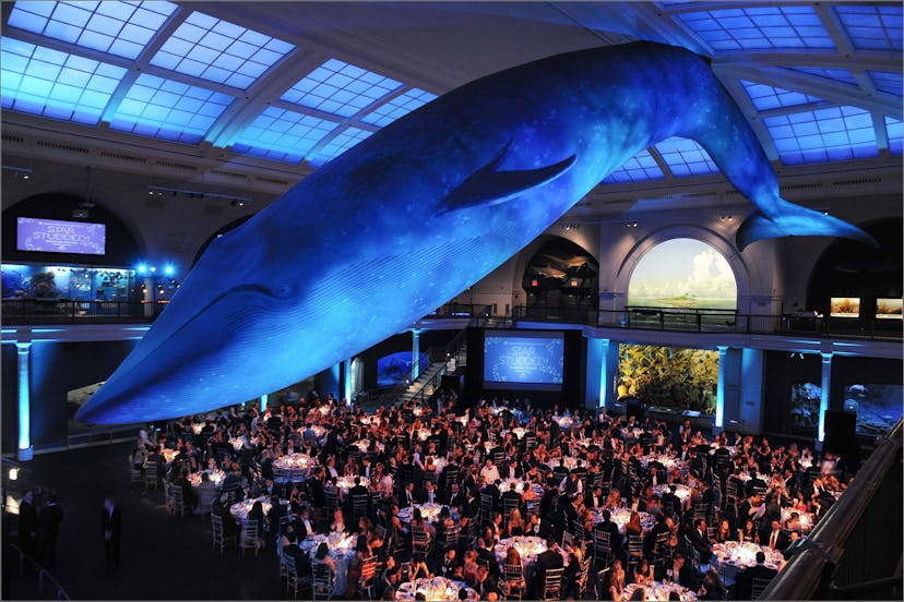 Milstein Hall of Ocean Life