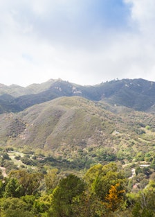 Alexander Payne Topanga California