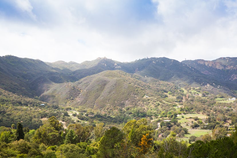 Alexander Payne Topanga California