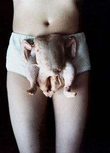 Chicken Knickers, 1997 by Sarah Lucas