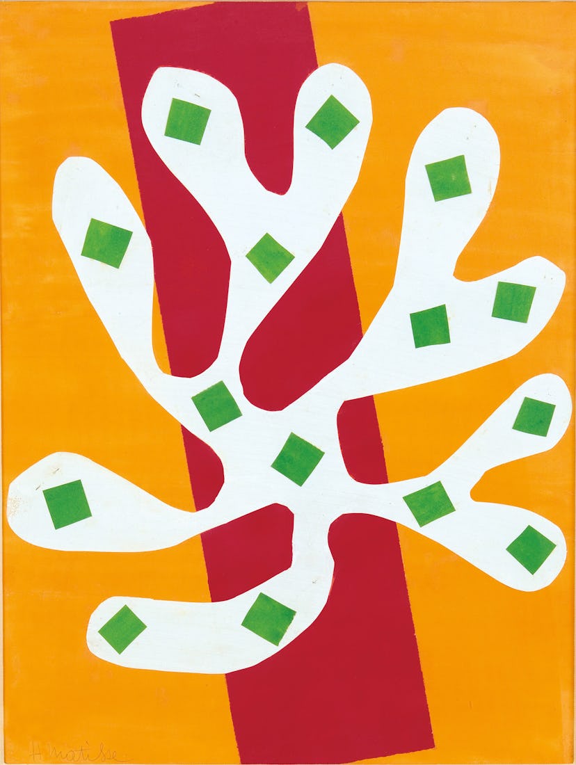 Matisse’s White Alga