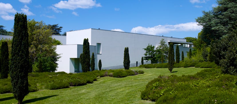 The Serralves Foundation