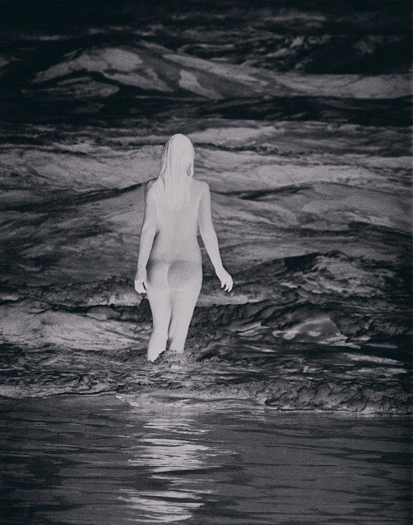 Anne Collier Negative (California)