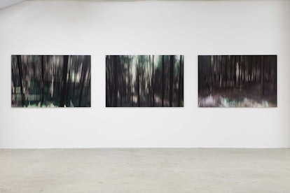 Installation view of Lord Charles March's "Wood Lands."