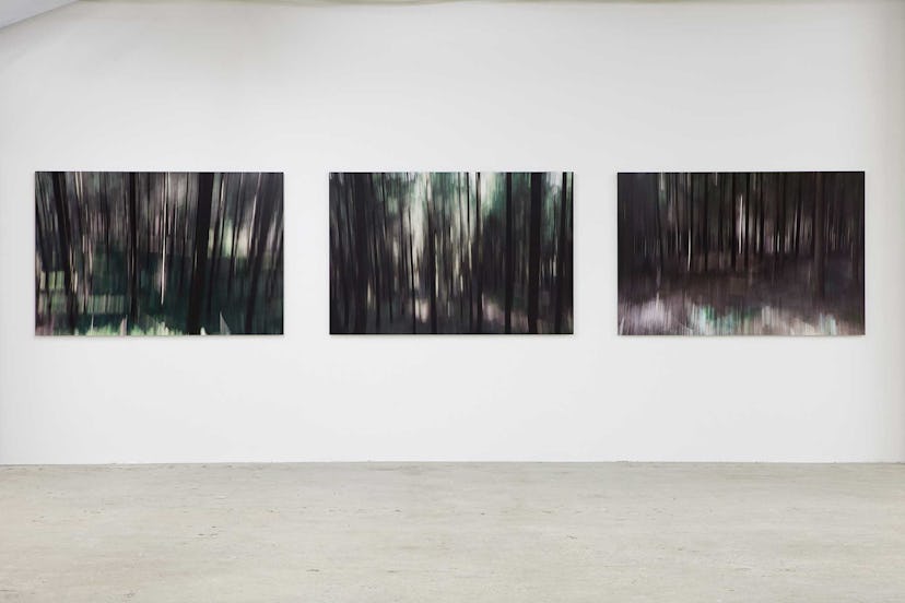 Installation view of Lord Charles March's "Wood Lands."