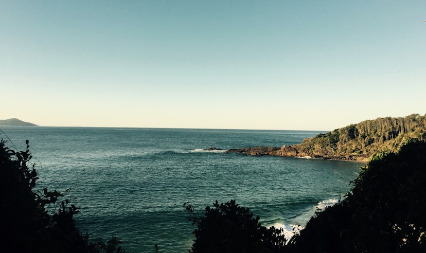 Shelly beach view from forest track