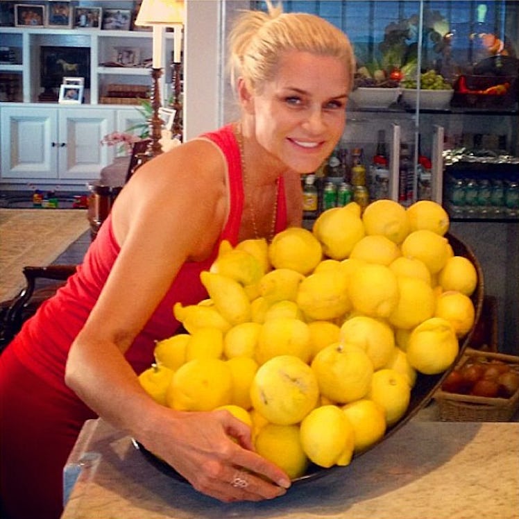 Yolanda Foster Fridge