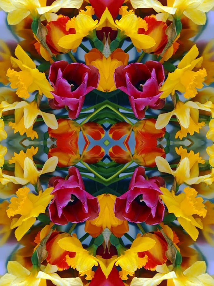 Todd Eberle