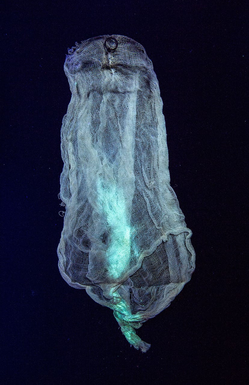 Tony Oursler