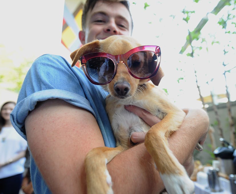 Toulouse Grande