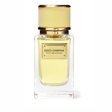 Dolce & Gabbana Velvet Mimosa Bloom eau de parfum
