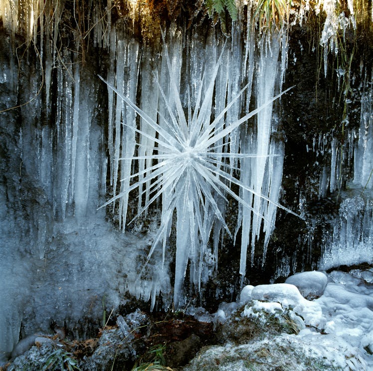 ANDY GOLDSWORTHY