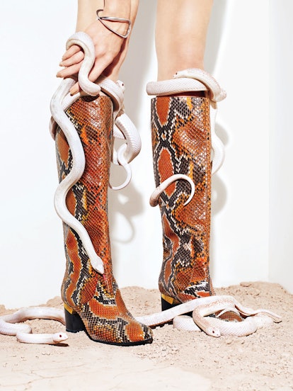Lanvin boots