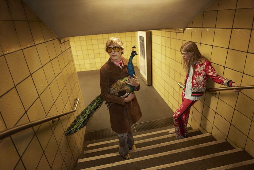 Gucci_SpringSummer16campaign16