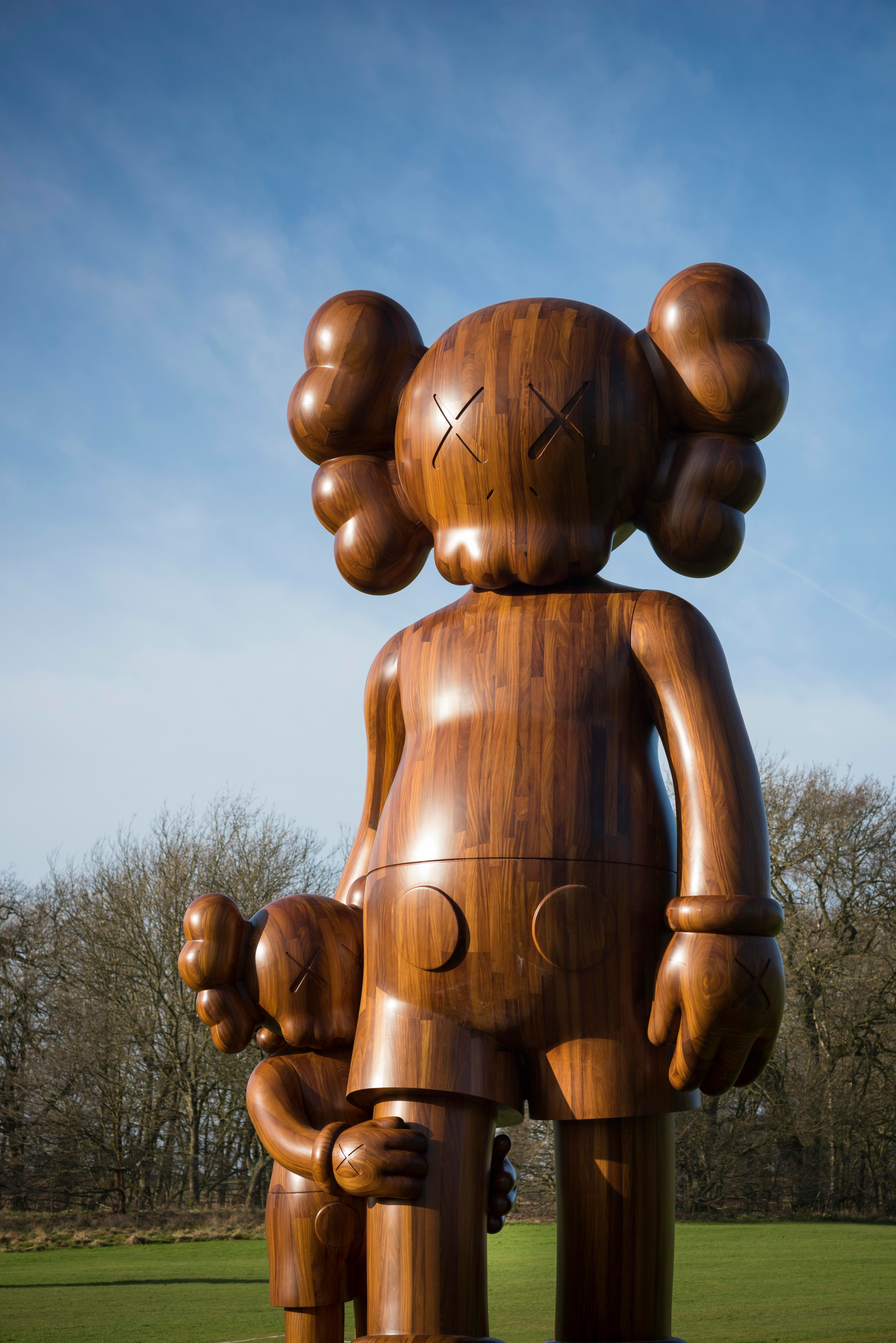 KAWS in the Country