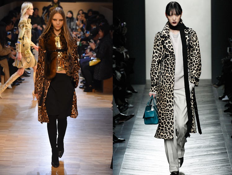 Leopard-–-Givenchy-and-Bottega---