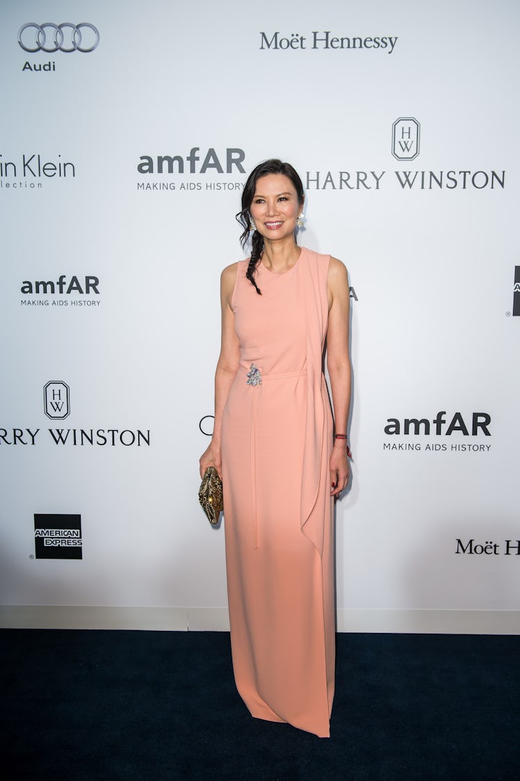 amfAR Hong Kong Gala 2016 - Red Carpet