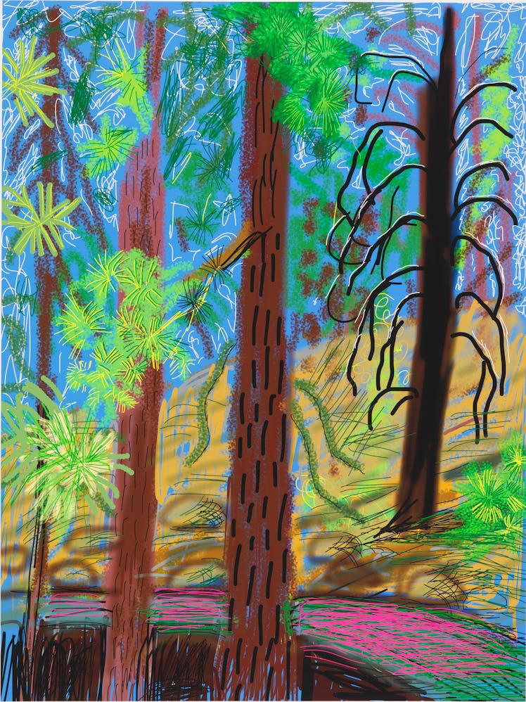 "Untitled No. 6" from "The Yosemite Suite" 2010