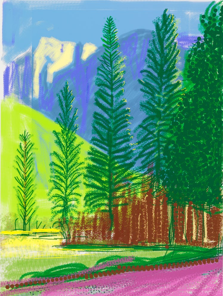 "Untitled No. 12" from "The Yosemite Suite" 2010