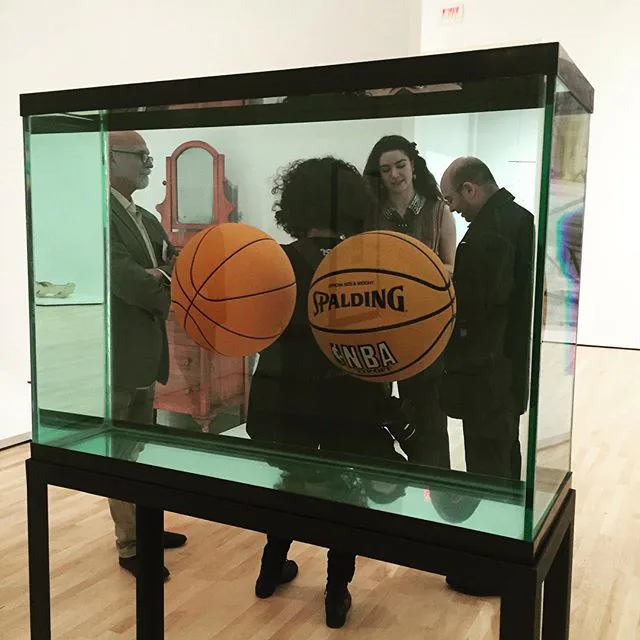 Get An Early Peek Inside the New SFMoMA Via Instagram