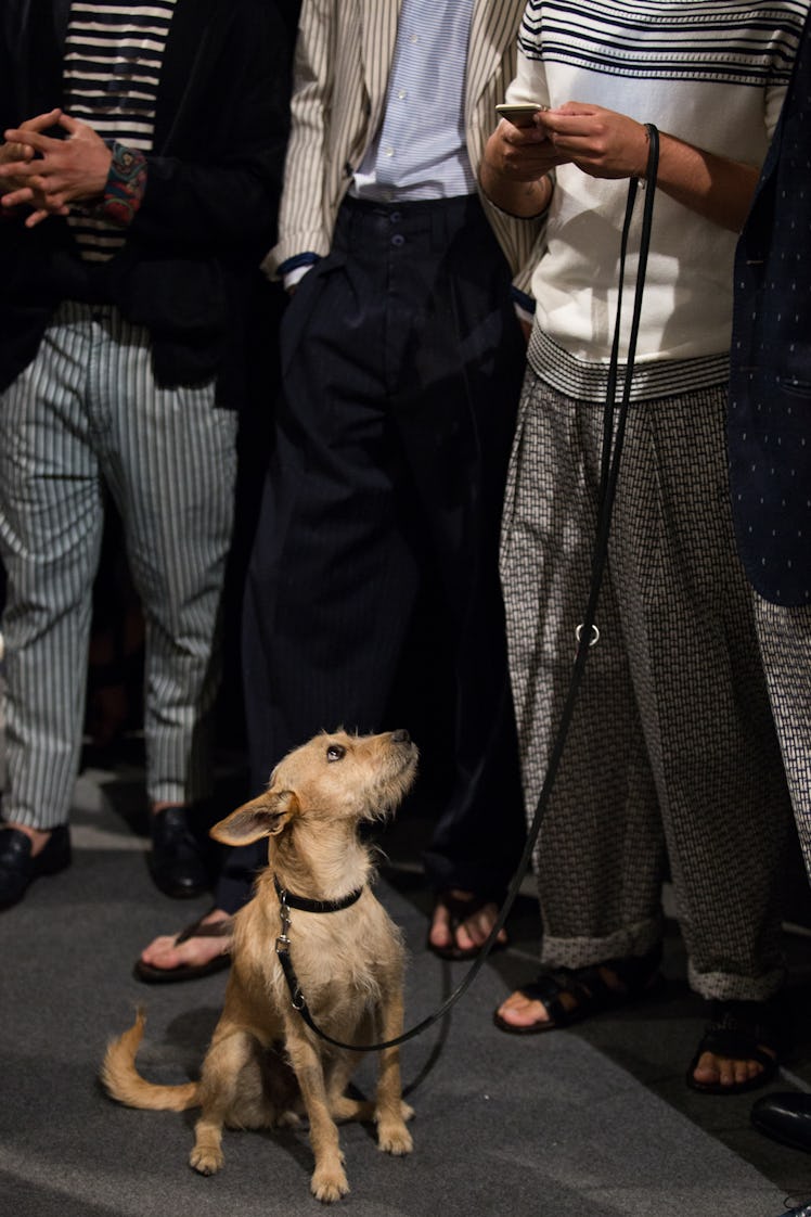 Etro Milan Men’s Fashion Week Spring 2017