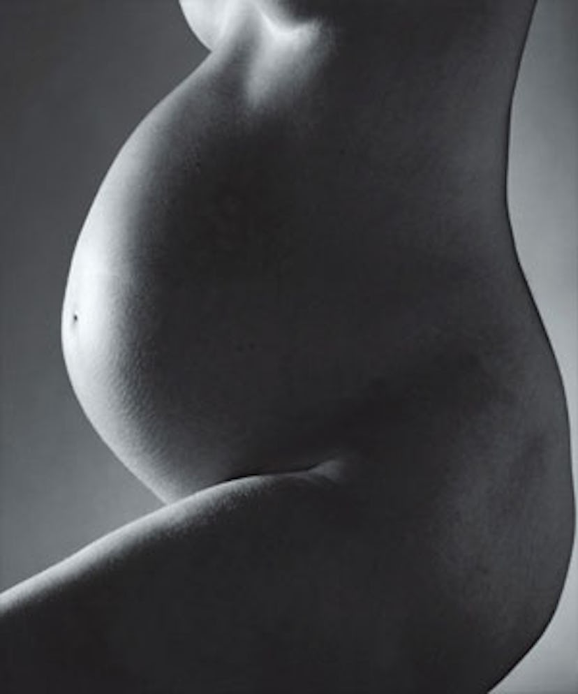 bear_fertility_v.jpg