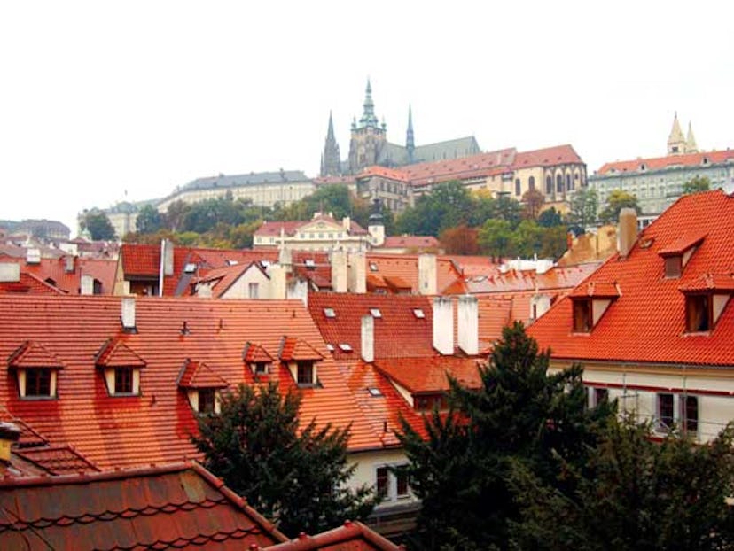 trar_forte_01_h.jpg