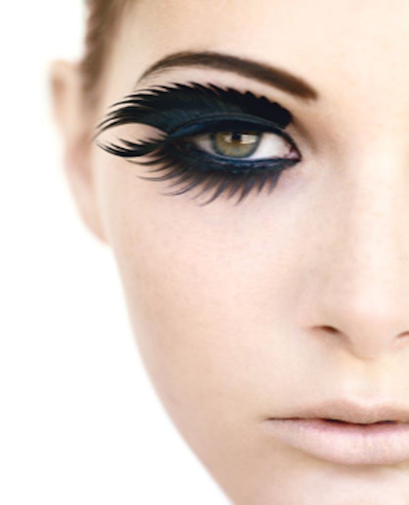 bear_lashes_01_v.jpg