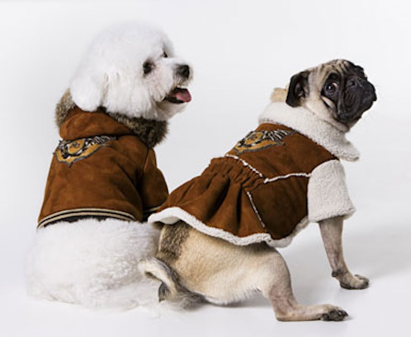 blog_cavallidogs_fleece.jpg