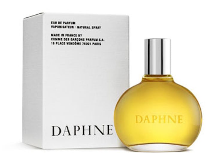 blog_daphne_fragrance.jpg
