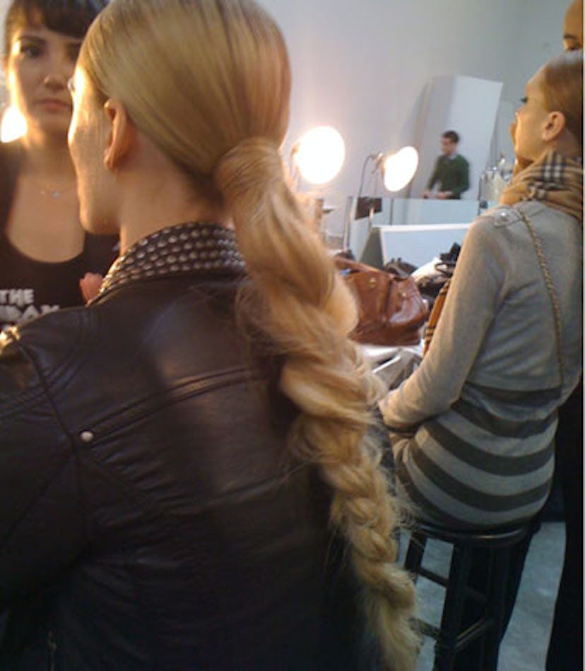 blog_lwren_braid.jpg
