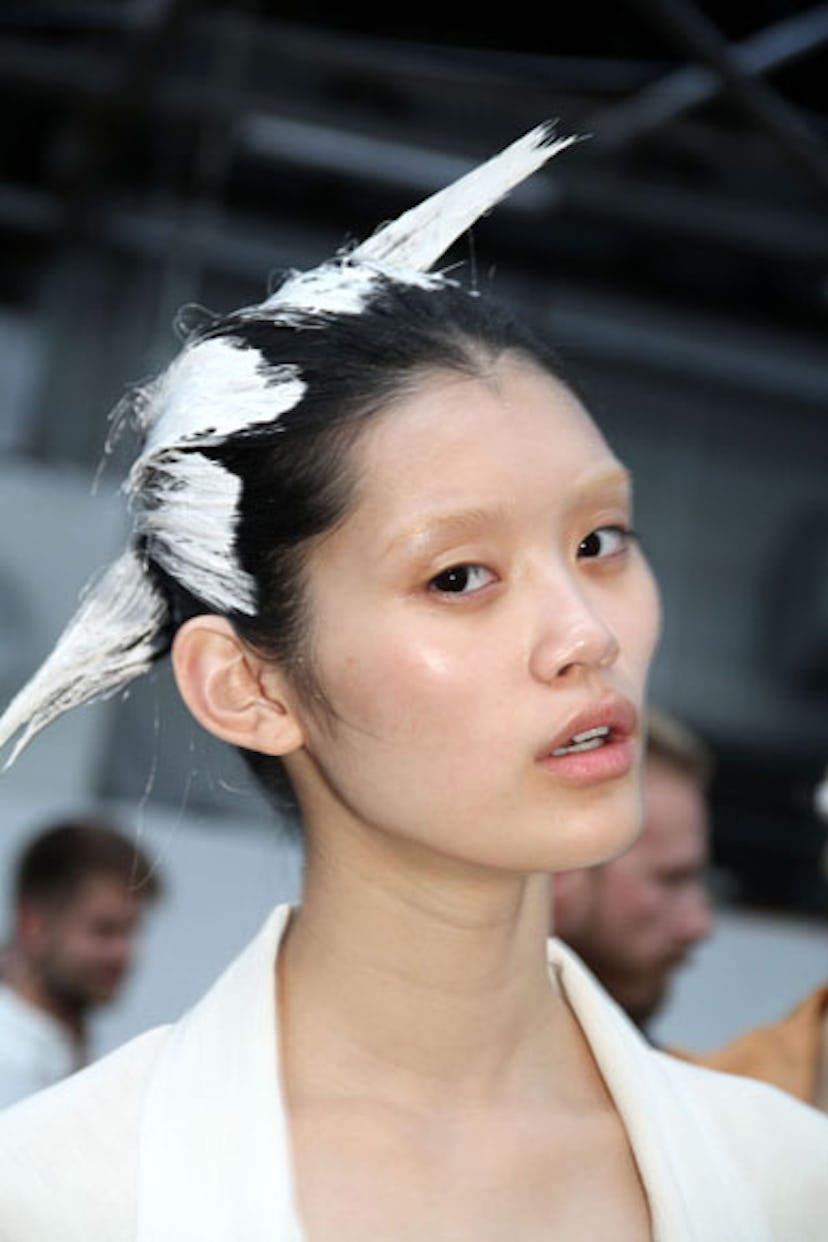 blog_AlexanderWang_Spring2011_BleachedBrows.jpg