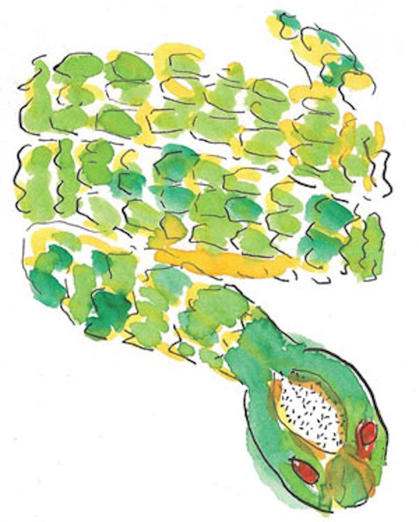 acar_fiona_druckenmiller_boutique_v.jpg