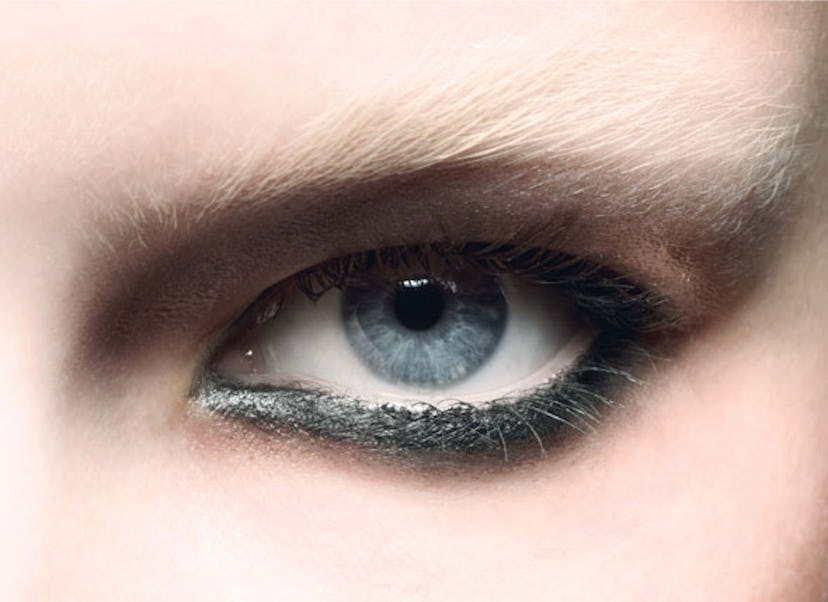 bear_brows_h.jpg