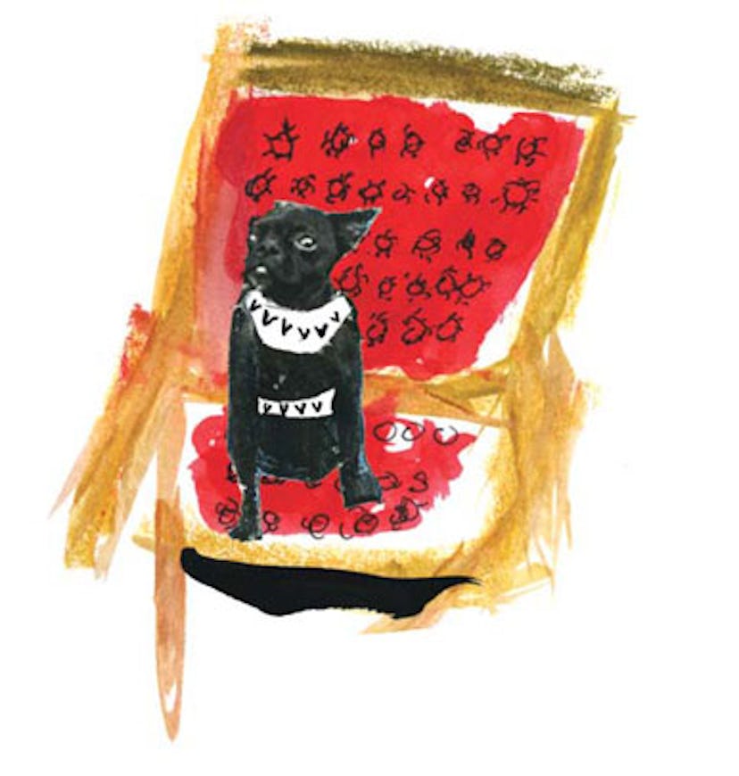 blog_dsquared2_canine_collection.jpg