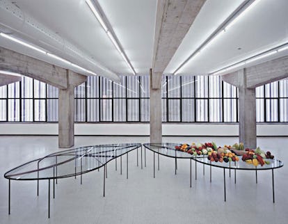 arar_maxmara_01_h.jpg
