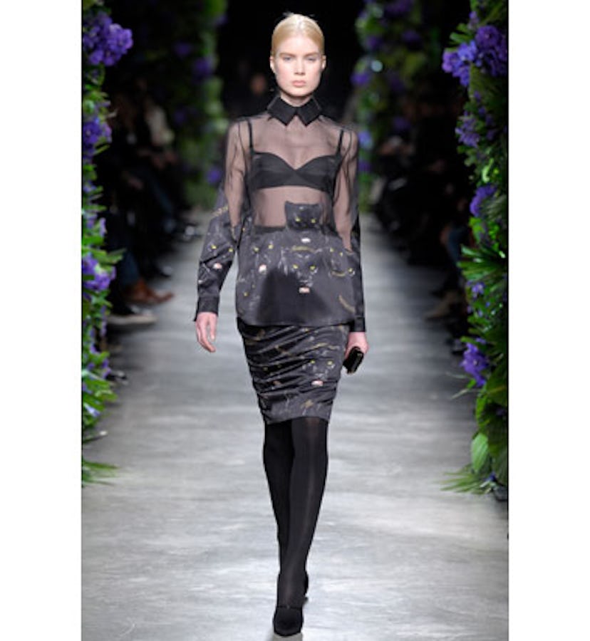 blog_animals_givenchy.jpg