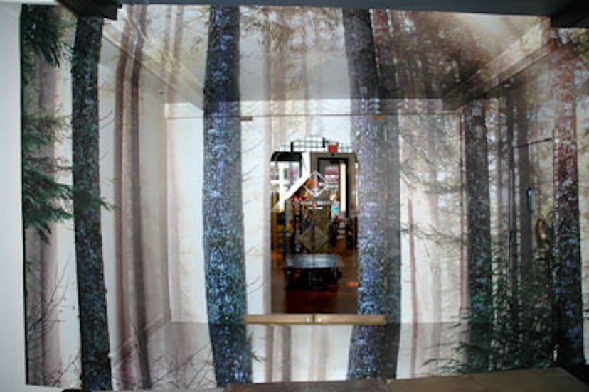 blog-ace-hotel-Forest-from-the-Trees_Allied-Works-Architecture.jpg
