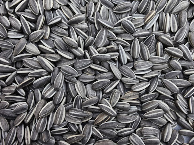 arar-sunflower-seeds-h.jpg