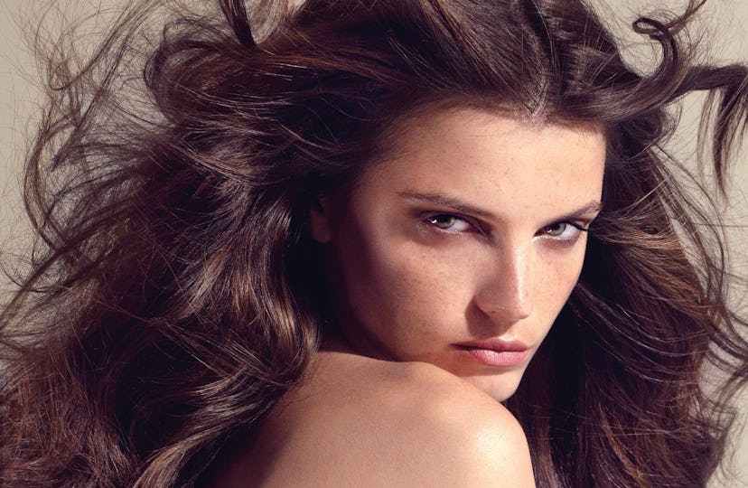 bear-free-easy-har-h