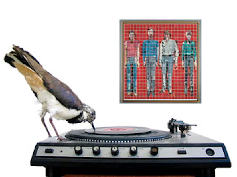 arar-vinyl-artwork-v.jpg