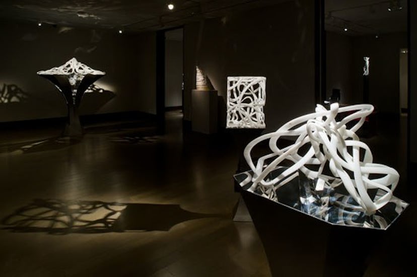 blog-Elizabeth-Turk-exhibit-march2012-%28Cages%29hirschlandadler-%23722F.jpg