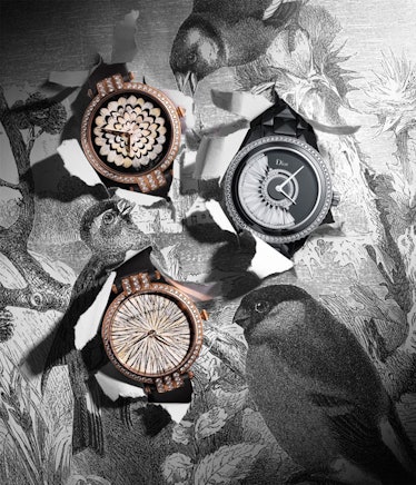 blog-feather-inspired-watches.jpg