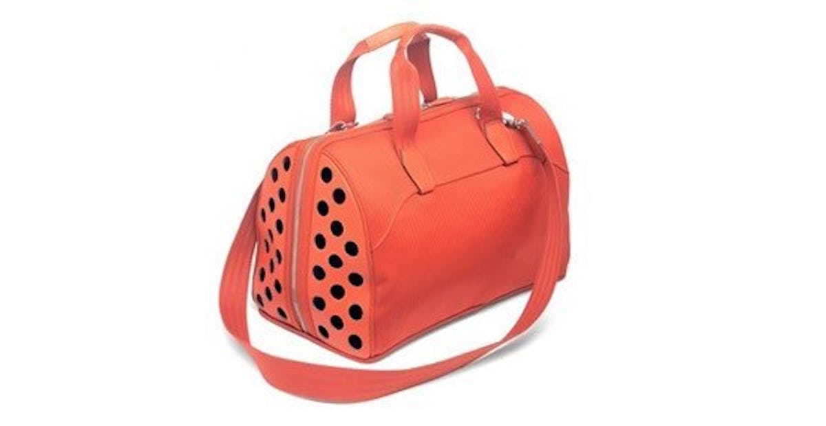 blog-Toutou-bag%5B2%5D.jpg